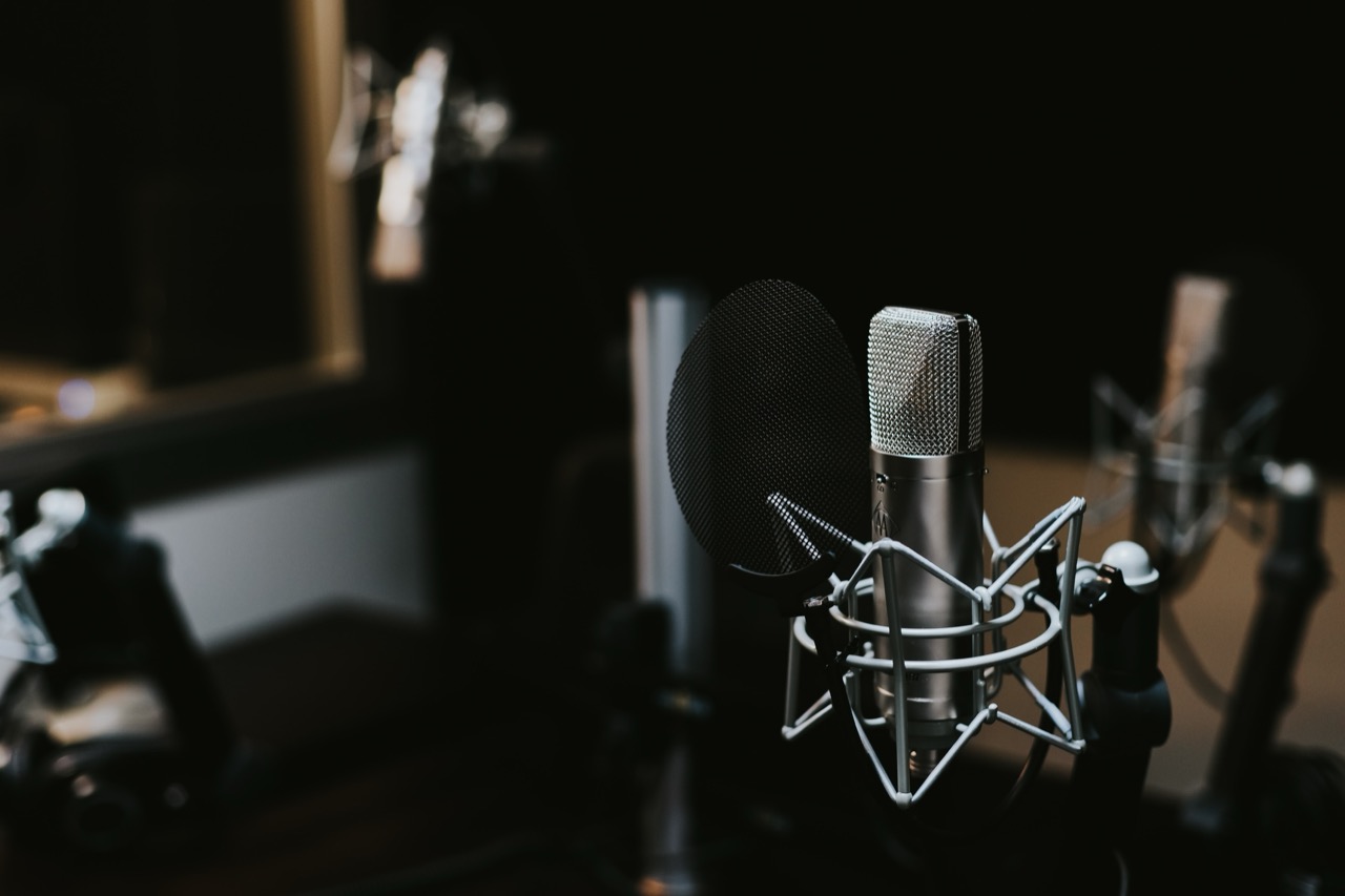 A studio condenser microphone